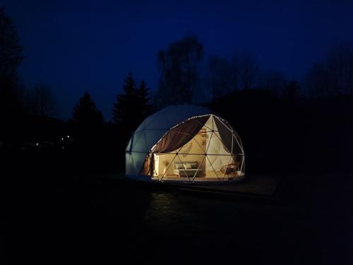 Mieroszow Other | Forrest Glamp