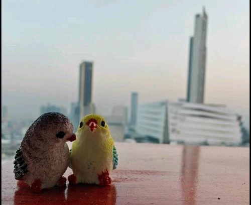Khlong Ton Sai Apartment | Free Airport Pick Up ! 12th Floor Cozy Studio Room, 5 mins walk to IconSiam & BTS