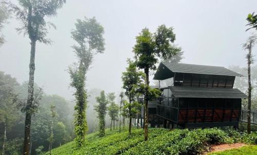 Vayittiri Hotel | Fresh Wave Resort And Pool Villa Soochipara