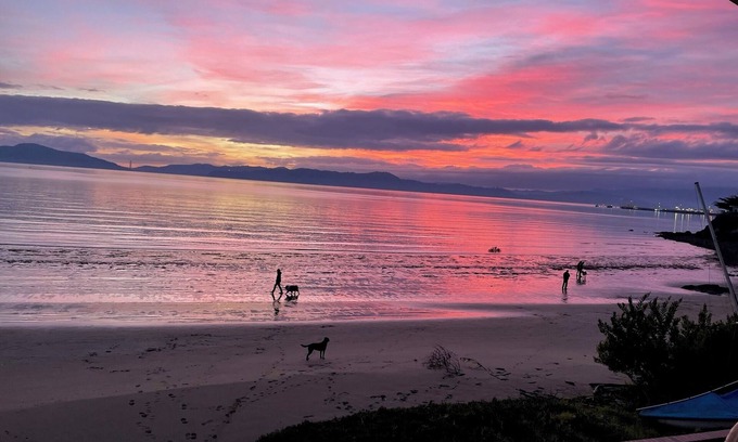 Point Richmond Apartment | Fri Richmond Beach, birds and views