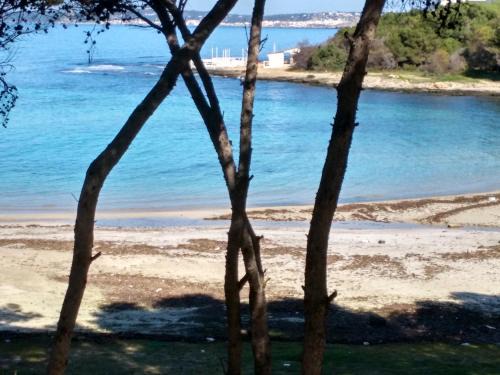 Rivabella Apartment | Frontemare Davide