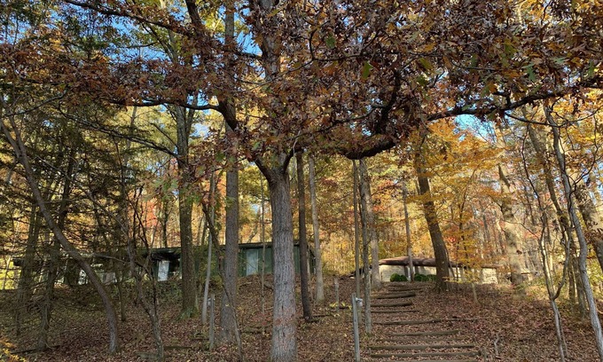 Lancaster Cabin | frontier lodge- Rustic lodge in a serene Timberland
