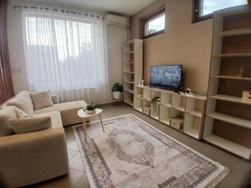 Dumbravita Apartment | Fufy's apartment