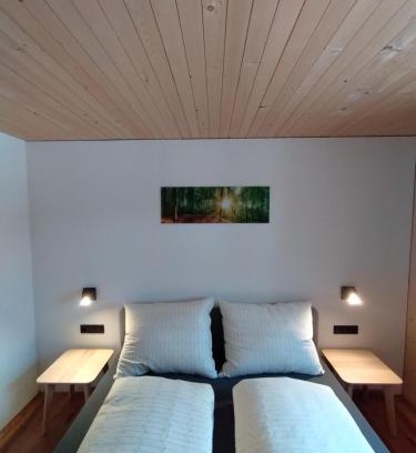Schoppernau Apartment | Fuxrevier