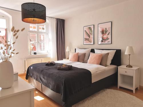 Meissen Apartment | Fynbos Apartments in der Altstadt, Frauenkirche, historisch, Parkplatz