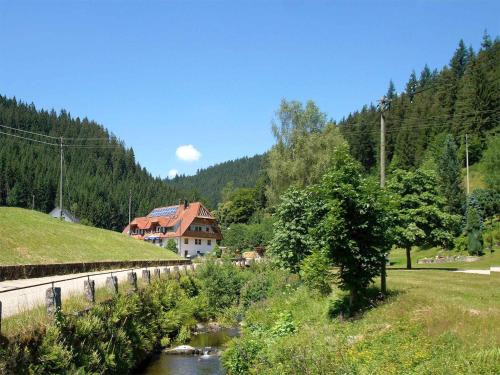 Bad Rippoldsau-Schapbach House | Gästehaus Herrmann
