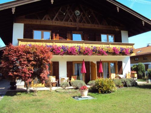 Egern Apartment | Gästehaus Fischer