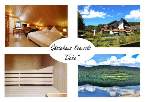 Blasiwald Apartment | Gästehaus Seewald- Ferienwohnung 7 "Eiche", Schluchsee, Blasiwald