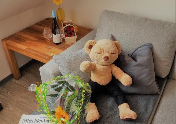 Coswig Apartment | Gästequartier Turmblick ruhig aber zentral mit Garten in der Altstadt von Coswig Anhalt
