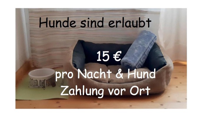 Extertal Apartment | Gästezimmer im Freudenthal