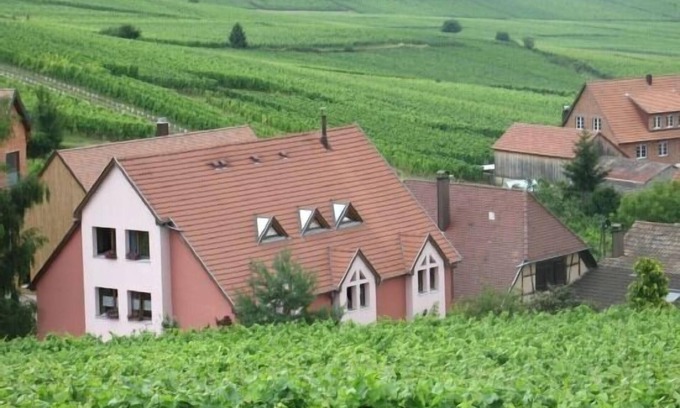 Hunawihr Cottage | Gîte Chez Le Vigneron for 4 people
