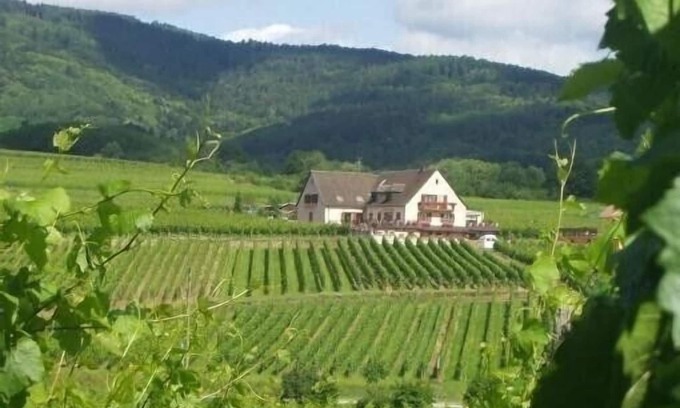 Zellenberg Apartment | GÎTE "IN SCHOENENBOURG"