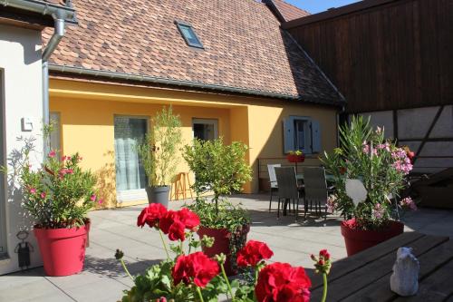 Saint-Hippolyte Apartment | Gîte Le Cep d'Or Alsace
