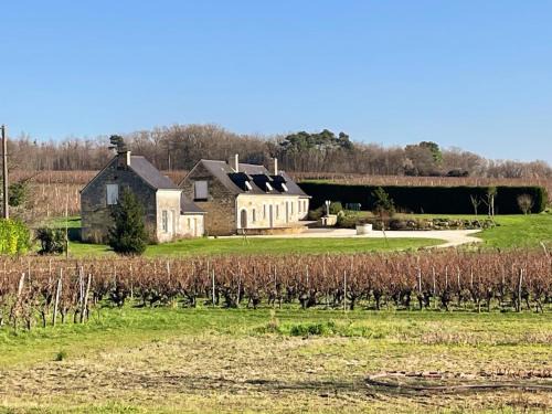 Benais House | Gîte viticole tout inclus, jardin 3000m², vélos offerts, proche Saumur-Chinon-Langeais - FR-1-381-606