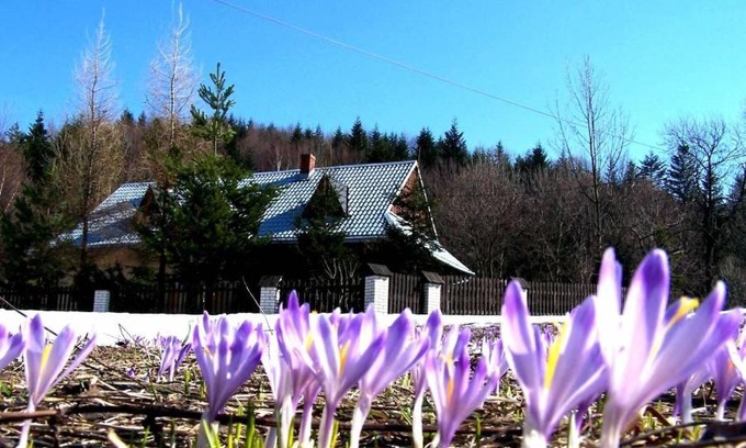 Stryszawa House | Góralska Czarcia Chata pod Jałowcem