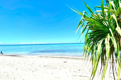 Paea Apartment | GAIA Lodge seaside