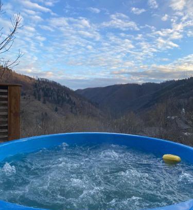 Posaga de Jos House | Gap Mountain House