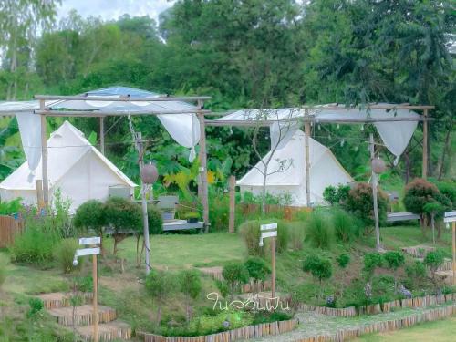 Khao Kho Other | Garden Camping Type