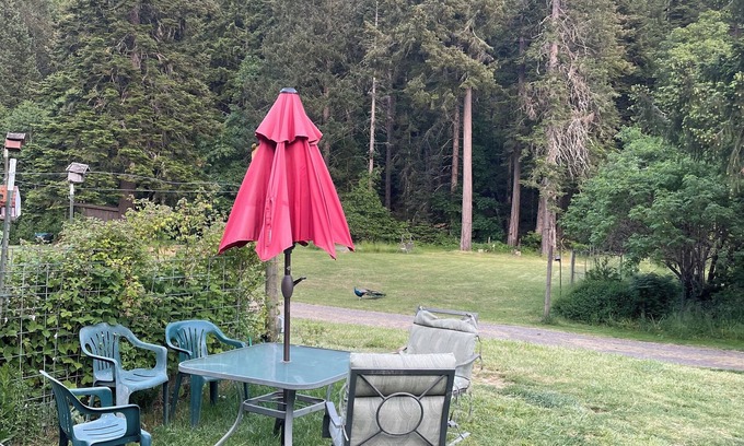 Wolf Creek Cottage | Garden Cottage tucked into the forest with 60" tv and air conditioning