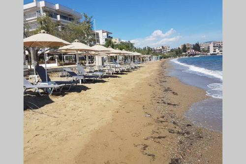 Lefkandi Apartment | GARDEN LEFKANTI sea rooms & aparts