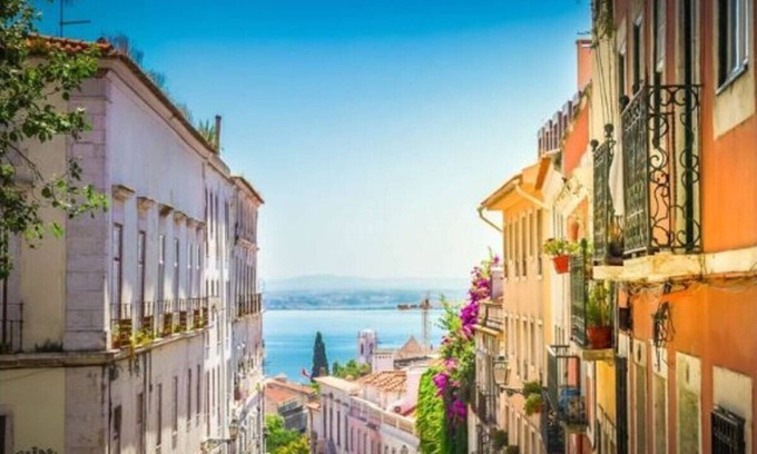 Sao Bento Apartment | Garden Retreat in Lisbon's Heart – 3-Bedroom Apt with Terrace & Authentic Vibes