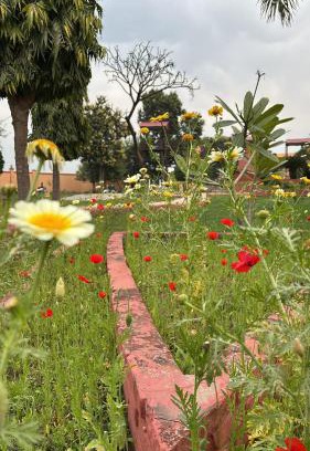 Thanesar Hotel | GardenView Hotel and Resort
