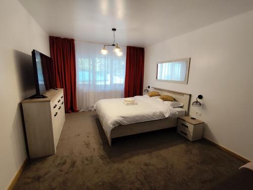 Slanic-Moldova Apartment | Garsoniera Alfa