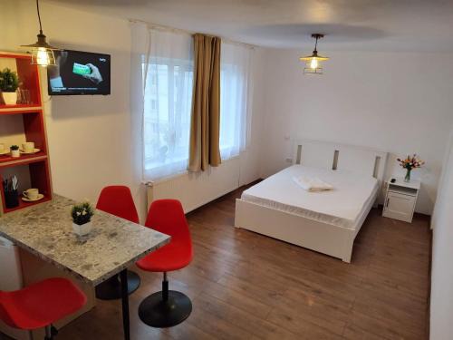 Tirgu Ocna Apartment | GARSONIERA DANIA&PETRU