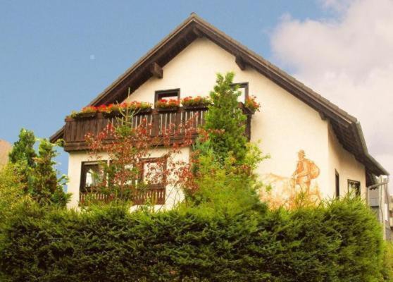 Schmiedefeld am Rennsteig Apartment | Gemütliche Ferienwohnung im Thüringer Wald, nahe des Rennsteigs - pure Erholung