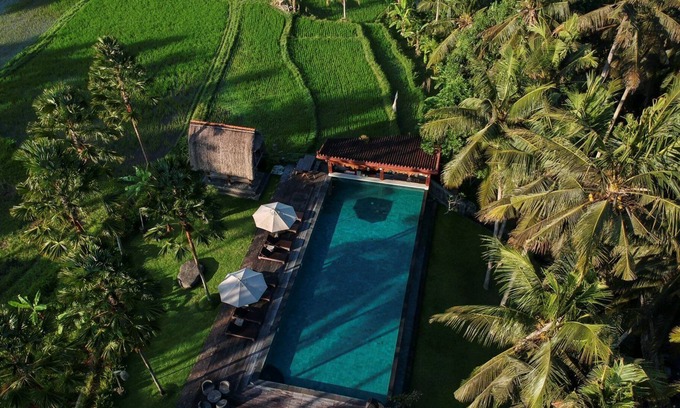 Nyuh Kuning Apartment | Genuine Balinese Charm in Centre of Ubud