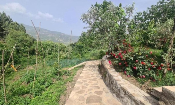 Permet House | Gest House Felau