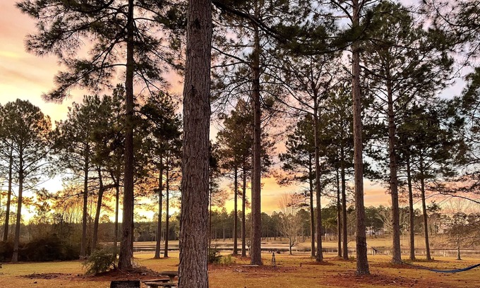 Poplarville Cabin | Getaway Cabin by the Water