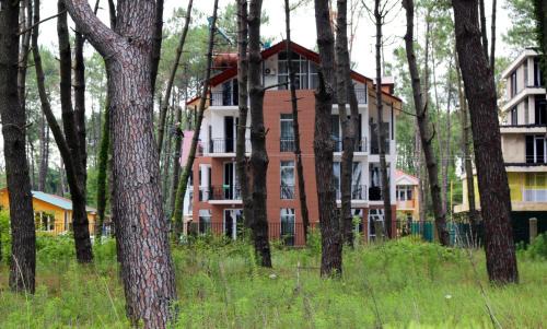 Shekhvetili Hotel | GiNa Shekvetili