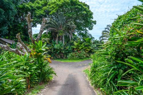 Kealakekua Apartment | Gingerhill Farm Retreat