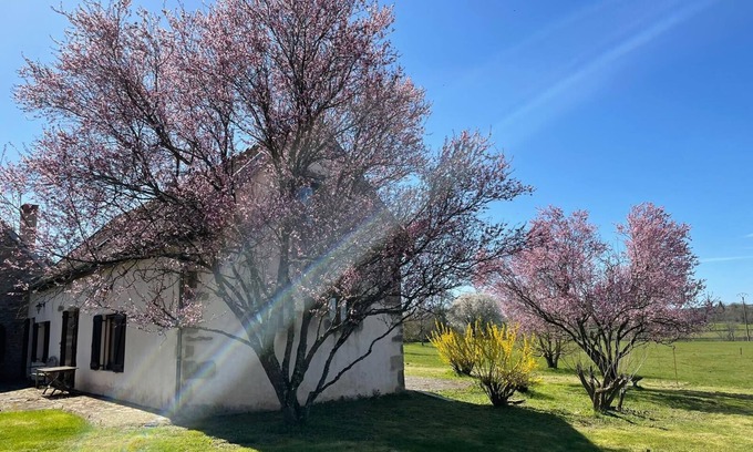 Diancey House | Gîte de la fontaine salée, a haven of peace in the heart of the Auxois meadows.
