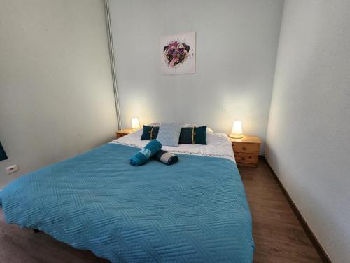 Ventron Apartment | Gite Fougère 2 à 6 personnes avec SPA et salle de jeux dans la résidence