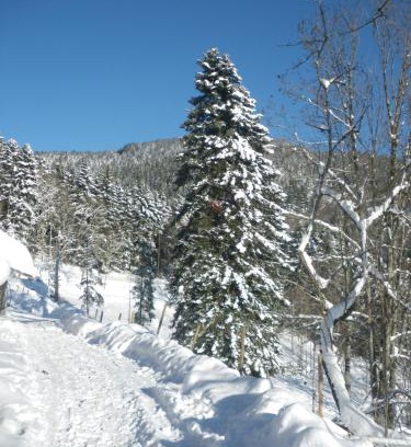 Metzeral Bed & Breakfast | Gite IM-BERG