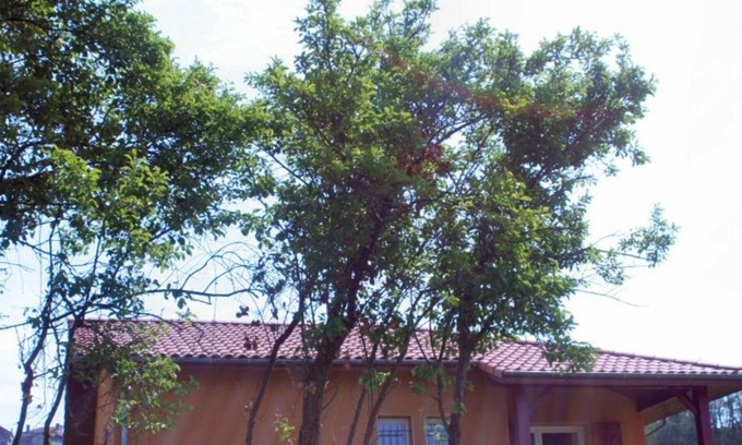 Mugron House | Gite Mugron, 2 bedrooms, 4 persons
