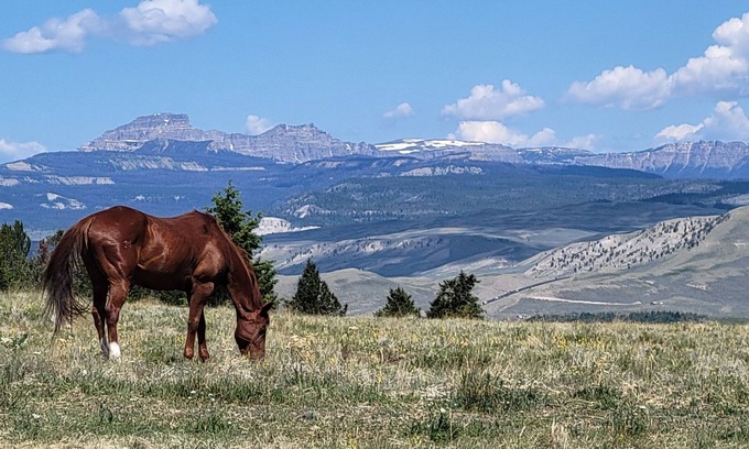 Dubois RV Rental | Glamping at Arcady Ridge Ranch-Canvas Tent, Queen Bed, Running Water + Wifi