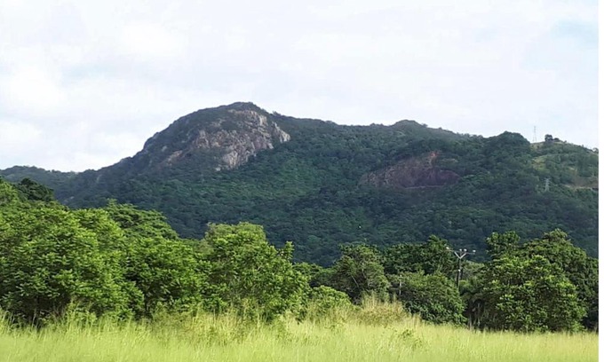Kamerunga Other | Glamping at Mirimbi