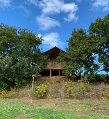 Magliano in Toscana Other | Glamping Podere Angiotto LODGE QUERCIA