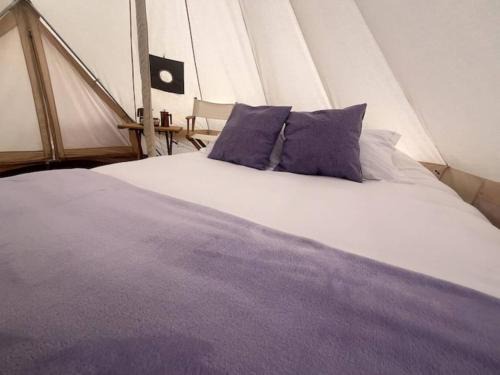 Texcoco de Mora Other | Glamping Rincón de Lavanda