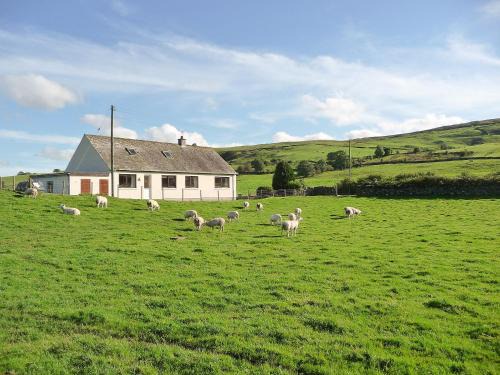 Thornhill House | Glenbank