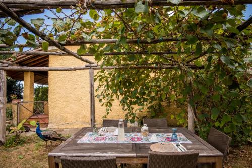 Montieri Apartment | Glicine