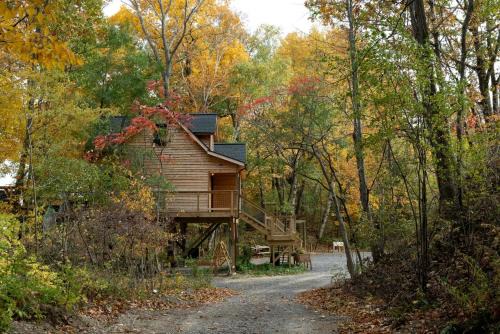Town of Torrey House | Glorious Tree House with Fire Pit and Hot-tub in Penn Yan, New York