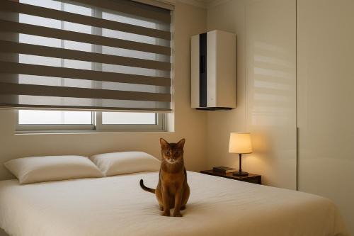 Seongsu House | Glow House Seongsu A - Cozy and Brown Cat 외국인전용