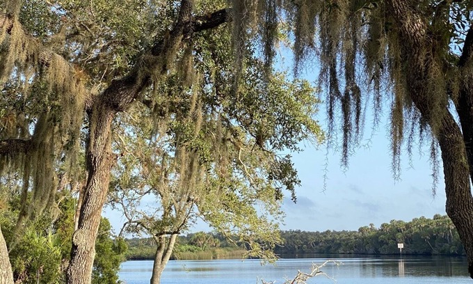 Venice House | Go Glamping on the Myakka River. Close to Venice Beach and Siesta Key