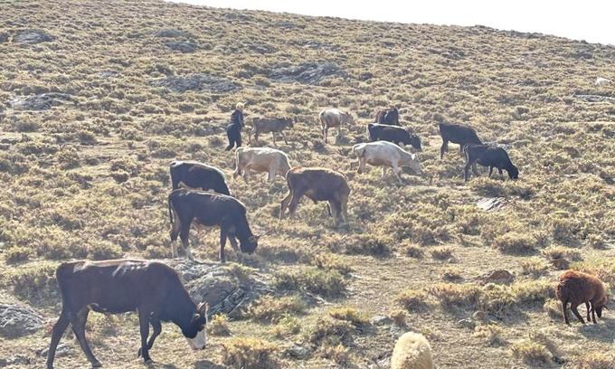 Gusanagyugh House | Go Kamo!