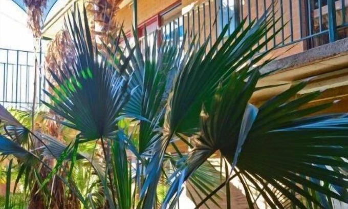 Tennant Creek Hotel | Goldfields Hotel Motel
