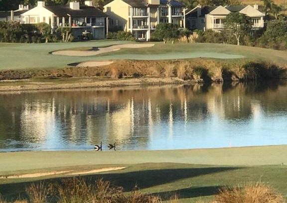 Gulf Harbour Apartment | Golf@Gulf